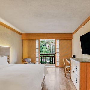 Habitación Deluxe con Cama King